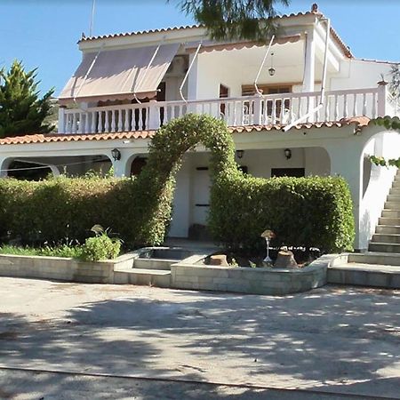 Το Κτήμα Της Ελιάς Του Τάκη Guest House Paralia Demonias Exterior foto