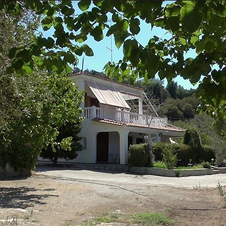 Το Κτήμα Της Ελιάς Του Τάκη Guest House Paralia Demonias Exterior foto