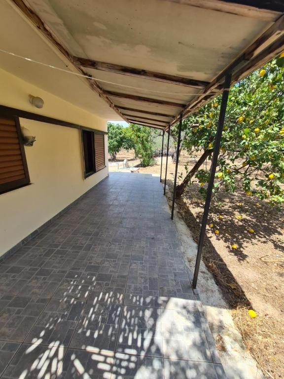 Το Κτήμα Της Ελιάς Του Τάκη Guest House Paralia Demonias Exterior foto