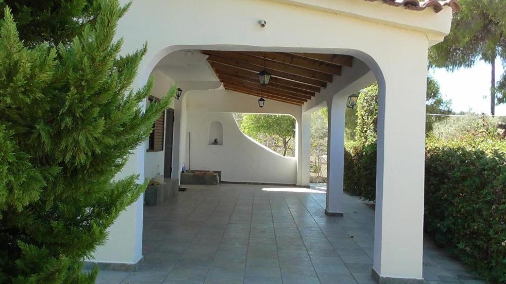 Το Κτήμα Της Ελιάς Του Τάκη Guest House Paralia Demonias Exterior foto