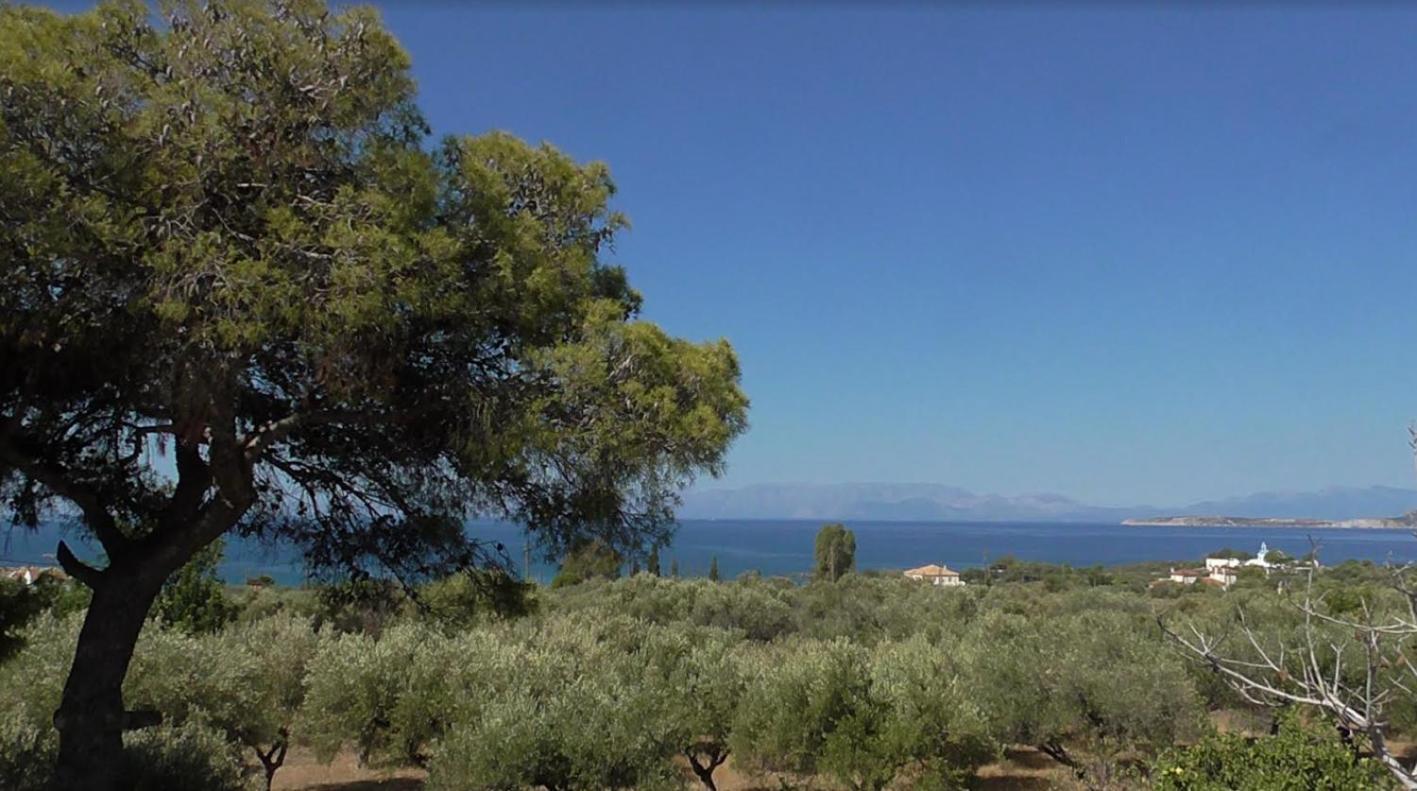 Το Κτήμα Της Ελιάς Του Τάκη Guest House Paralia Demonias Exterior foto