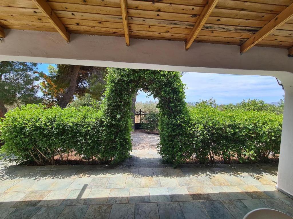Το Κτήμα Της Ελιάς Του Τάκη Guest House Paralia Demonias Exterior foto